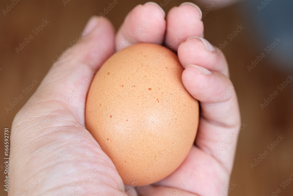 egg in hand or egg in hand background
