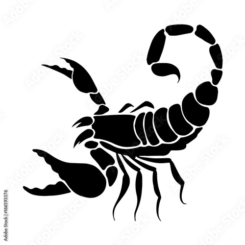 graphic scorpion, vector