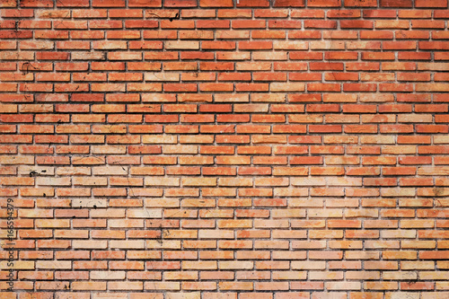 brick wall as a nicely textured background.