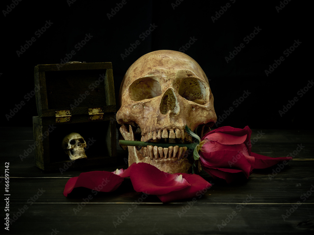 Obraz premium Still life of flowers and skull