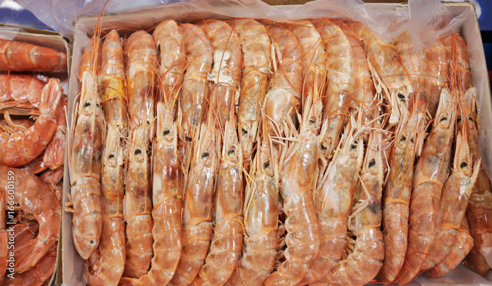 Fresh shrimps in the market