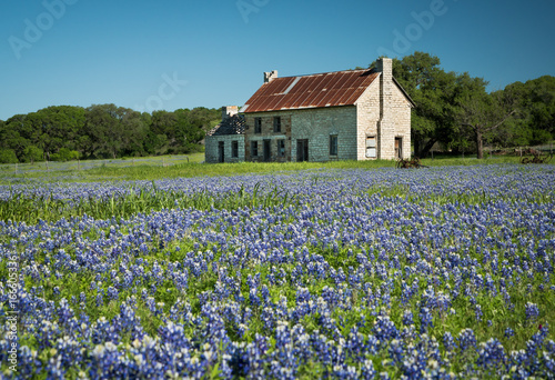 Bluebonnet House