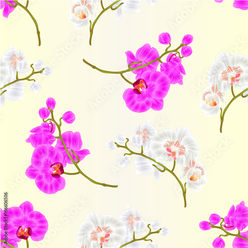Seamless texture branches orchid Phalaenopsis purple and white flowers tropical plants  vintage  vector botanical illustration for design hand draw © zdenat5