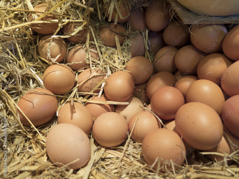 Fresh brown eggs Fresh brown eggs