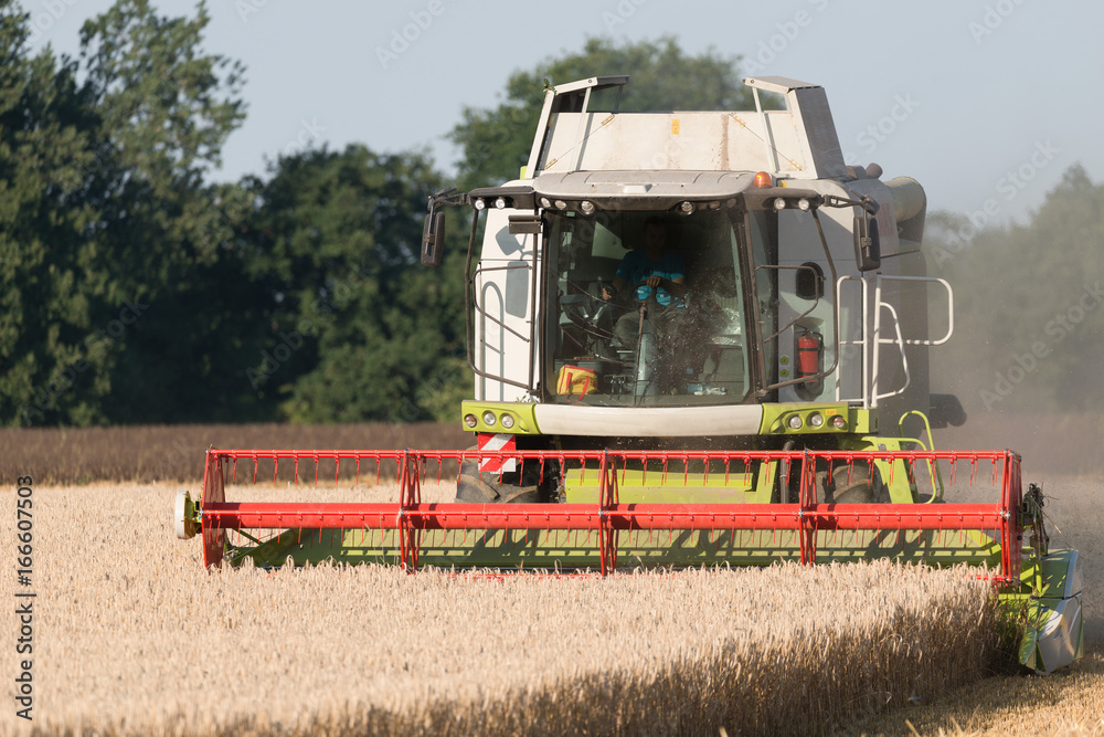 Fototapeta premium Mähdrescher
