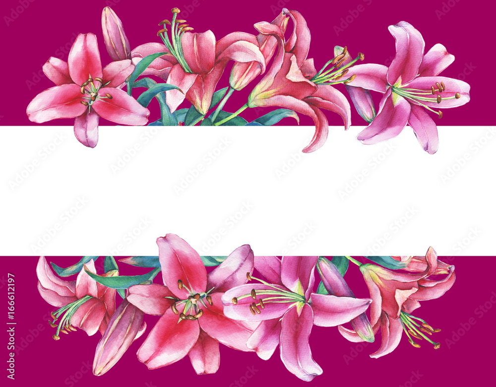 Fototapeta premium Banner with a pink lilies, isolated on burgundy background. Watercolor hand drawn painting illustration.
