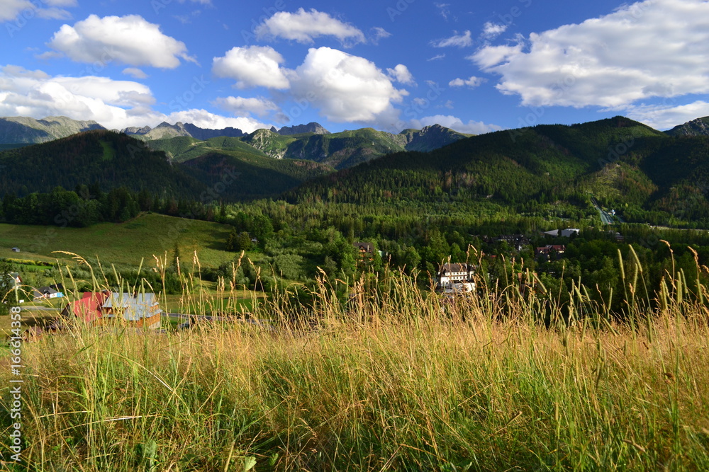Fototapeta premium Góry Tatry - widok z Antałówki