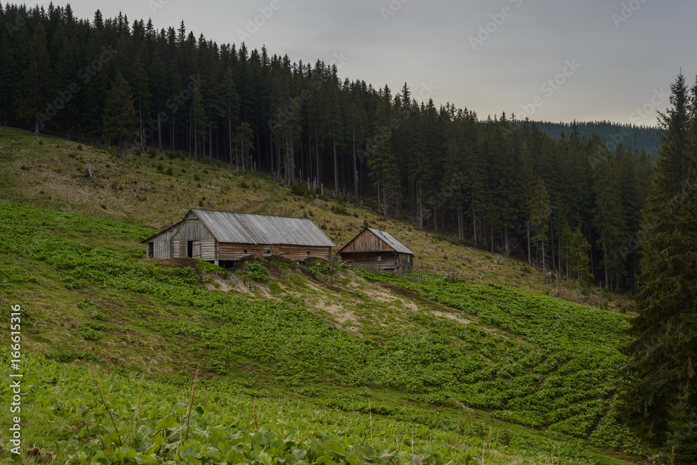 Farm in the Carpathian Mountains Farm in the Carpathian Mountains