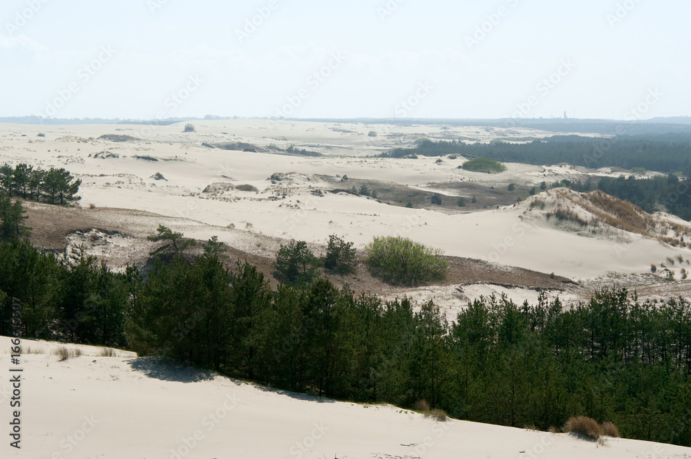 Fototapeta premium The alien landscape of the Curonian spit, settlement Rybachy, Zelenograd district, Kaliningrad region, Russian Federation