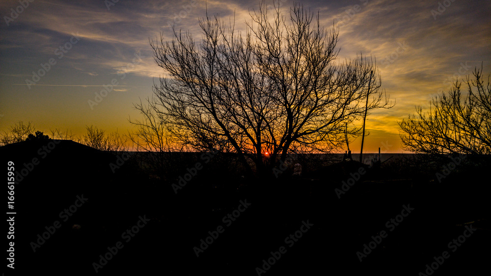 Fototapeta premium the sunset