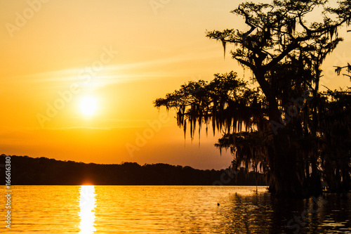 Swamp Sunset photo