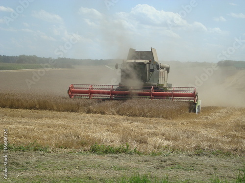 Getreide dreschen mit Mähdrescher auf dem Feld photo