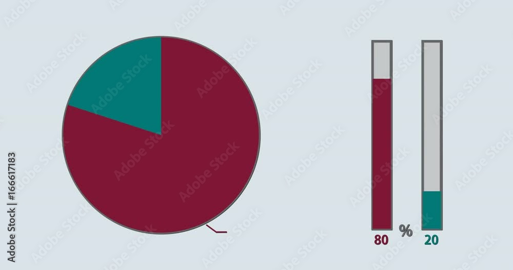 Pie and bar chart rising to 80 - 20 percent split, 2d animation with alpha matte, 4k 30fps