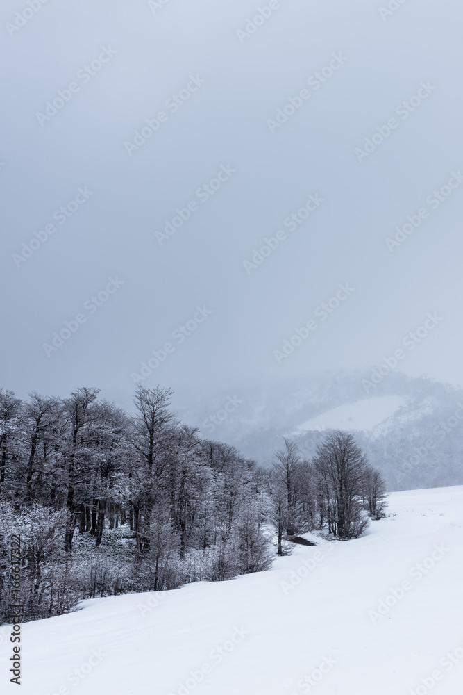 During the snowstorm During the snowstorm