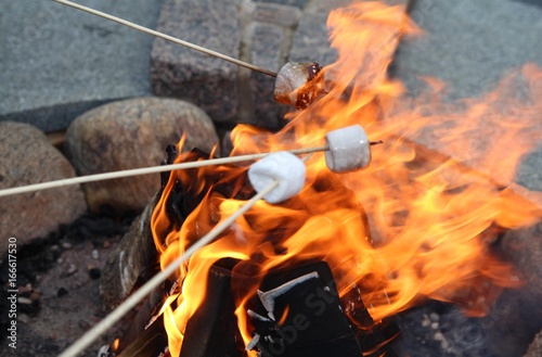 Roasting Marshmallows. Takes in hands roasted on campfire marshmallow candies close up image 
