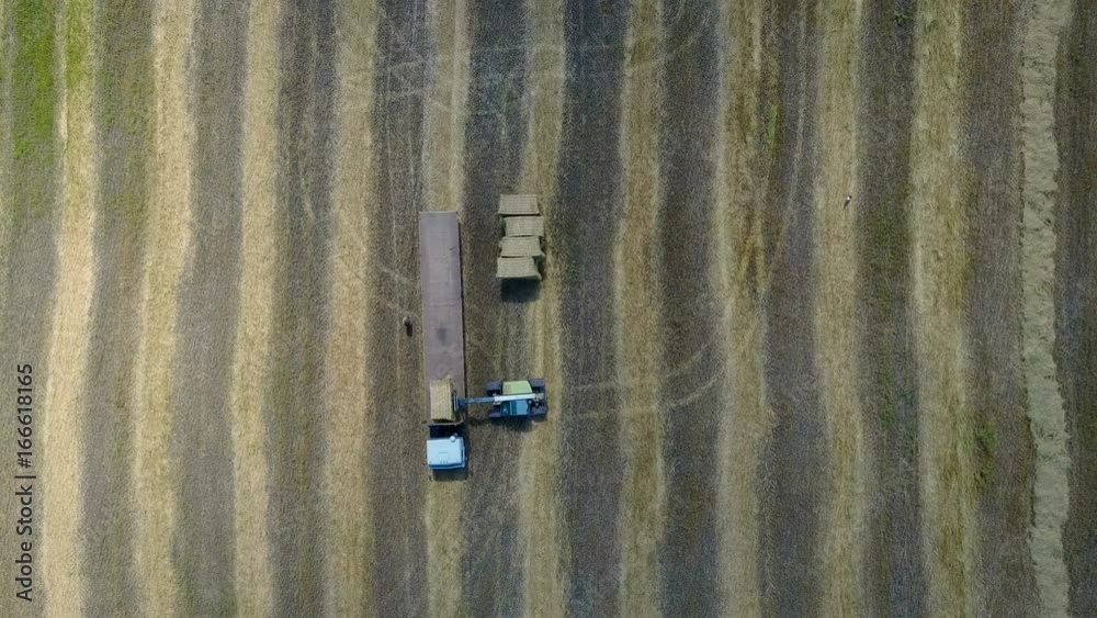Tractor Collects Hay On The Field