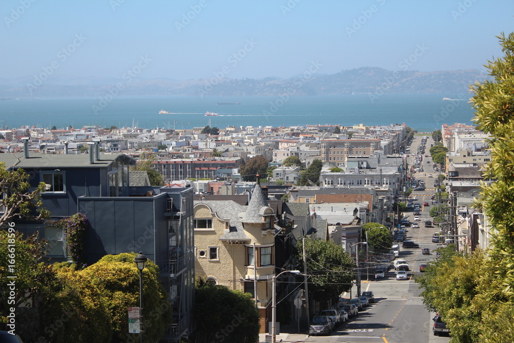 san francisco view from the top of the hill