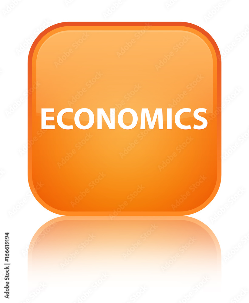 Economics special orange square button Economics special orange square button