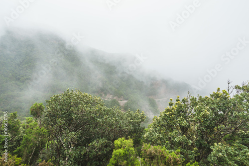 Nebel und Wolkenbildug entlang der TF-134 auf Teneriffa © Michael