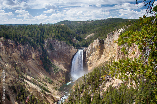Lower Yellowstone Falls And Canyon
