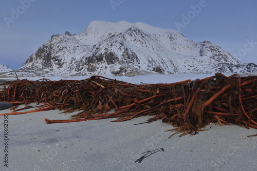 Himmeltinden-Molheia-Malheia mountains closing Utakleiv beach on the east. Vestvagoya-Lofoten-Norway. 0201 photo