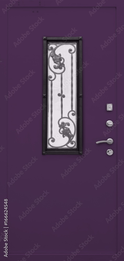 Obraz premium Entrance door (metal door)