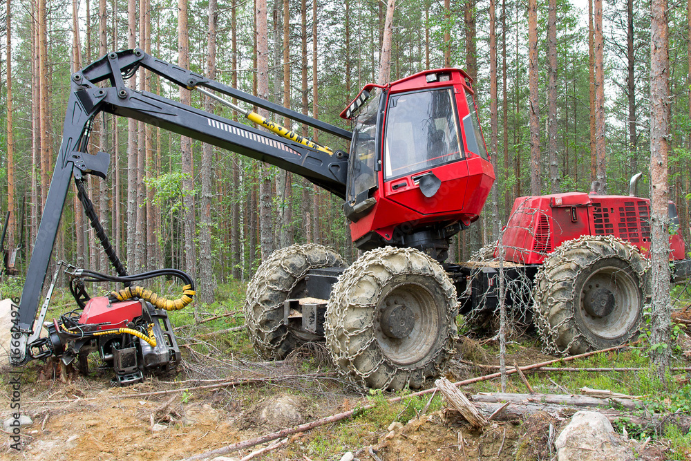 Harvester machine working in a forest. Northern Karelia, Russia Harvester machine working in a forest. Northern Karelia, Russia