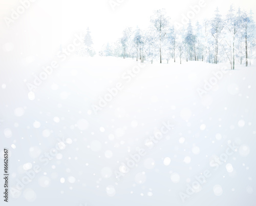 Vector winter  forest background.