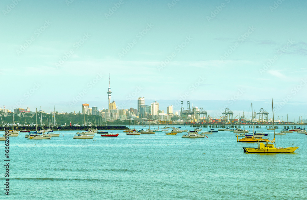 Boat Marina and View to Auckland City from Mission Bay - Auckland New Zealand