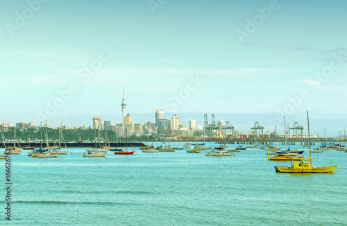 Boat Marina and View to Auckland City from Mission Bay - Auckland New Zealand