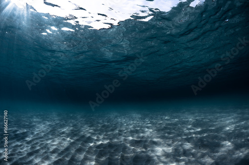 Underwater shot of the sea with sandy bottom