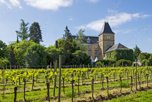 Schloß Edesheim photo