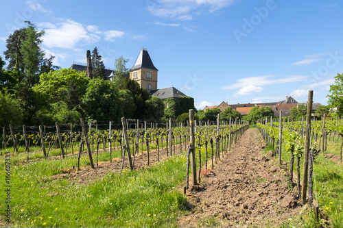 Schloß Edesheim photo