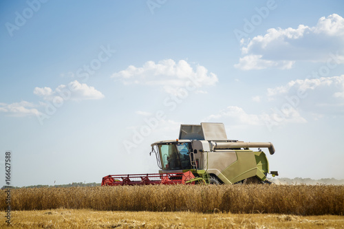 Working combine harvester in a wheat field. Agricultural background.