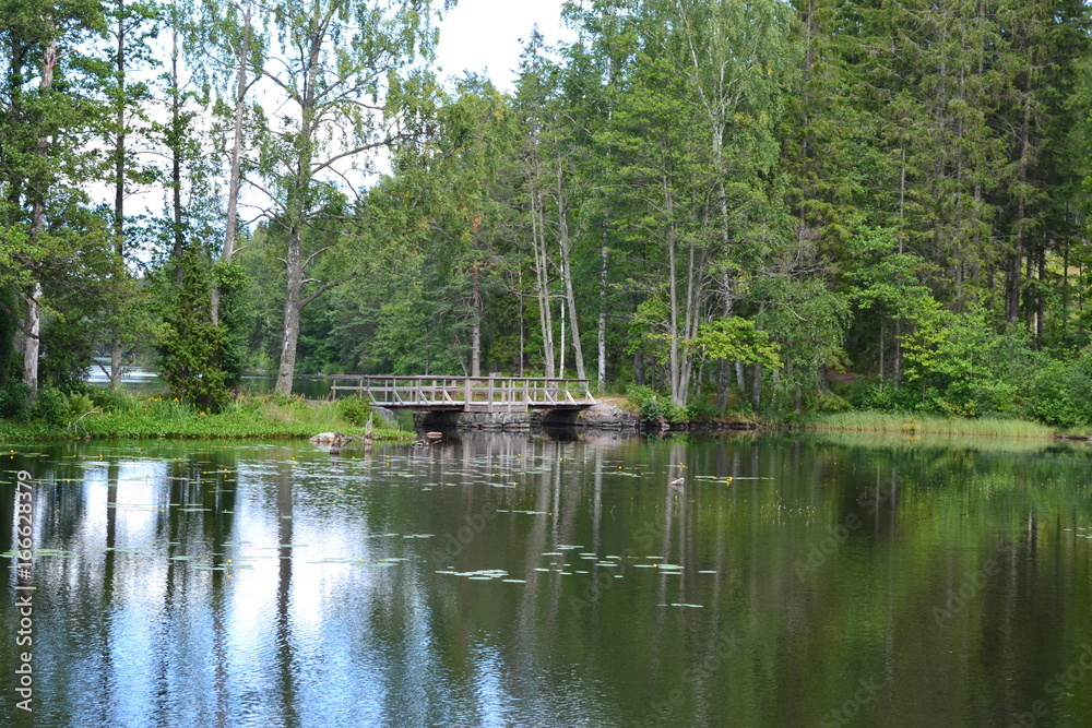 Fototapeta premium campfire with fish