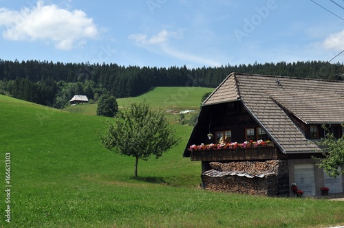 Black Forest House Traditional called `Schwarzwaldhof´ photo