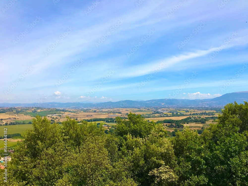 Italian green fields view in Tuscany