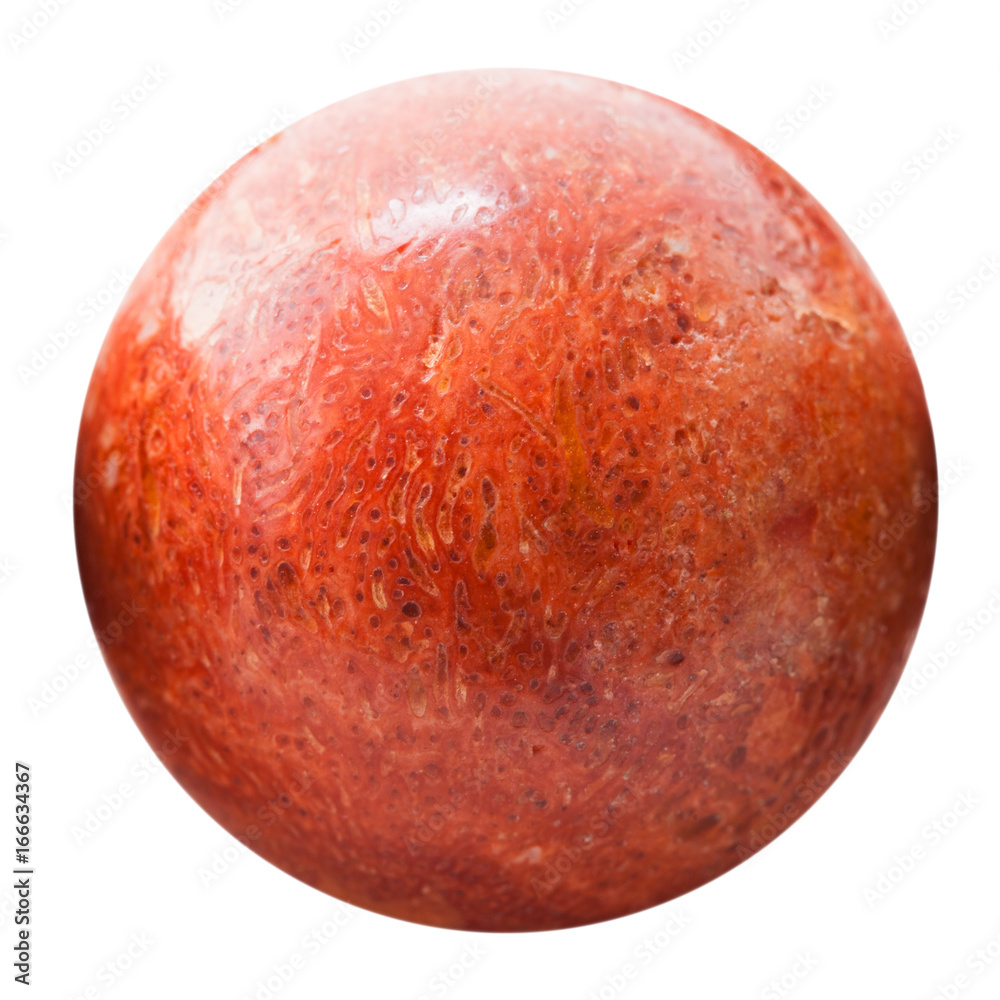 Fototapeta premium Ball from pressed red coral isolated