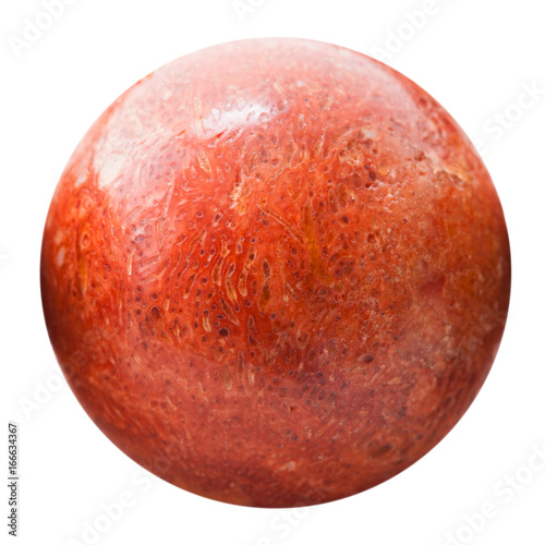 Ball from pressed red coral isolated