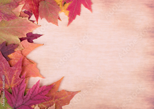 Border of Colorful Autumn Leaves on a Vintage Background