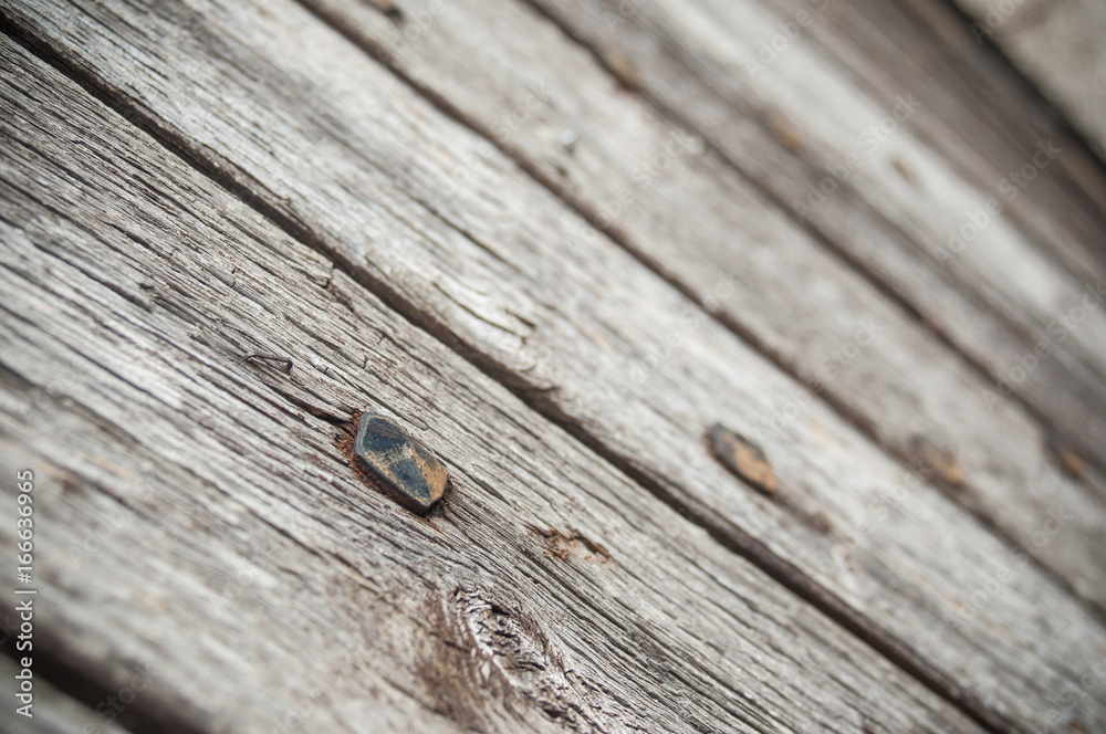 Obraz premium texture de vieux bois