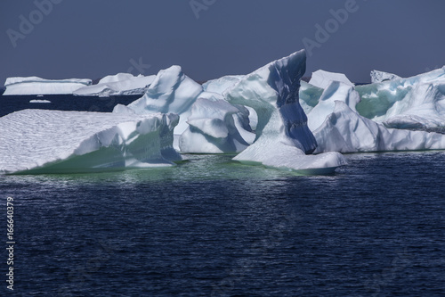 crowded group of icebergs in bright sun; Fogo Island, Newfoundland