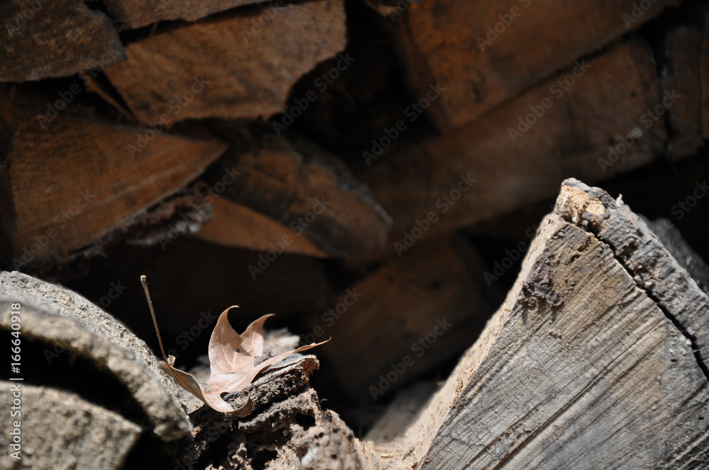 Obraz premium Chopped Wood