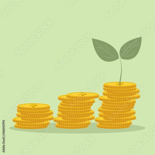 Plant Growing In Savings Coins - Investment And Interest Concept Business investment growth concept,with stack money coin