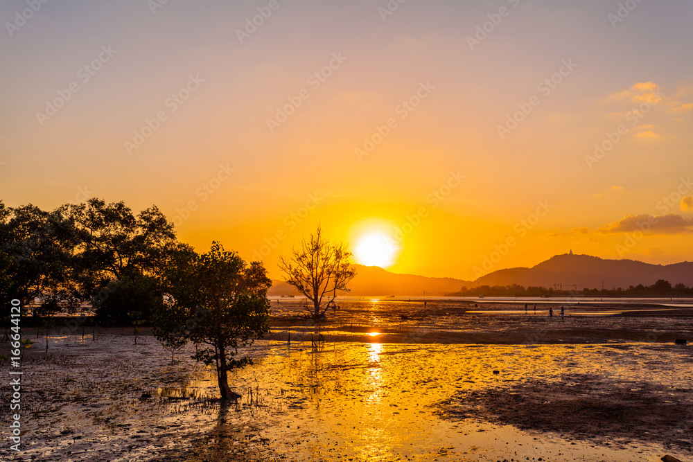 golden sky above Chalong bay shore golden sky above Chalong bay shore