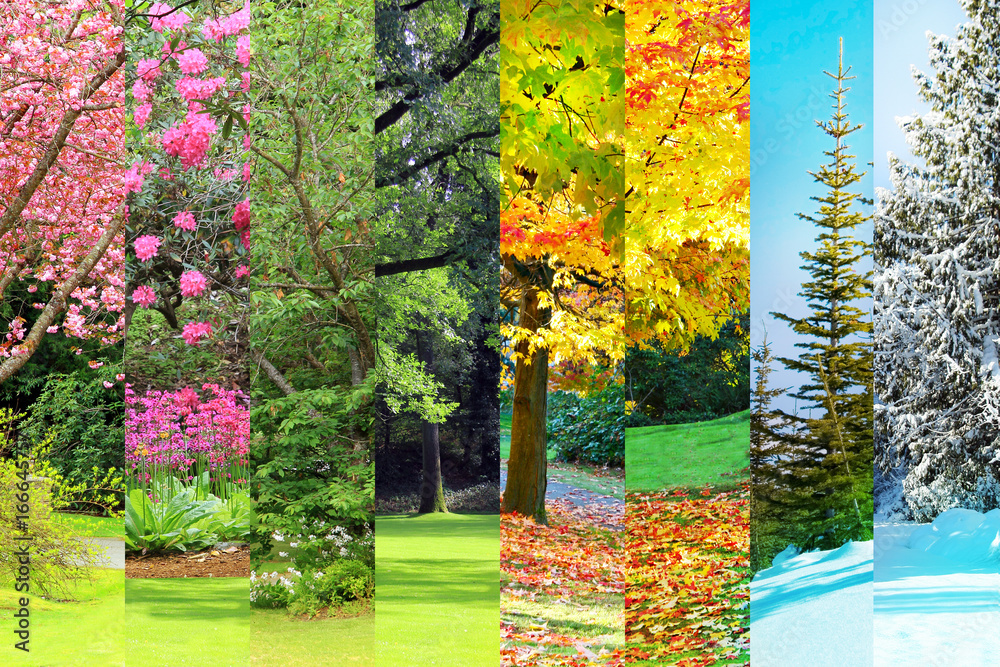 Spring, summer, fall, winter collage