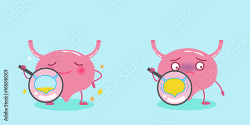cute cartoon bladder