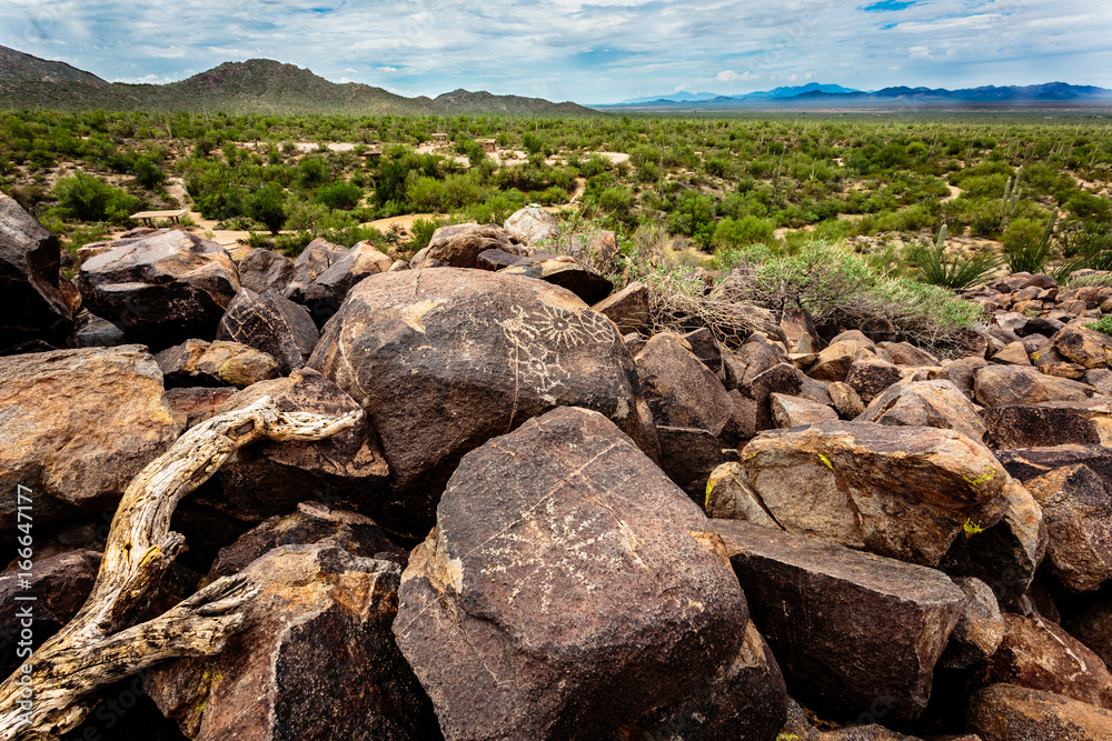 Ancient native petroglyphs adorn the desert varnish on the boulders of Signal Hill in Saguaro National Park West near Tucson, AZ.