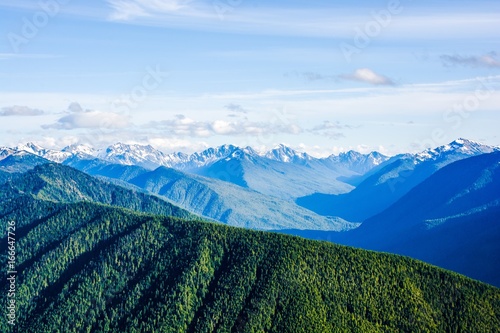 Hurricane Ridge of Olympic National Park in Washington, USA