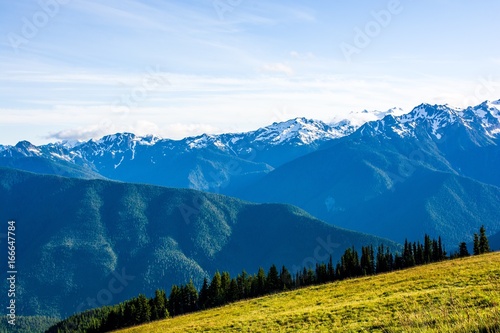 Hurricane Ridge of Olympic National Park in Washington, USA